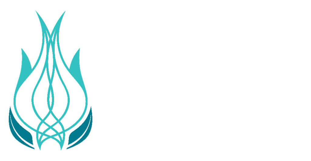 logotipo plaza view horizontal blanco